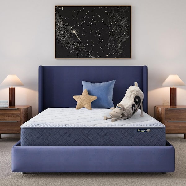 5 Star Mattress Sleep to Go Queen Medium 10 in. Mattress in a Box