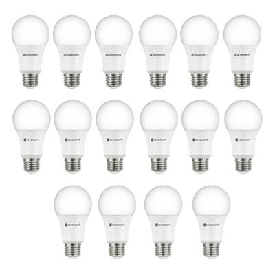 EcoSmart 60-Watt Equivalent A19 Non-Dimmable LED Light Bulb Daylight ...