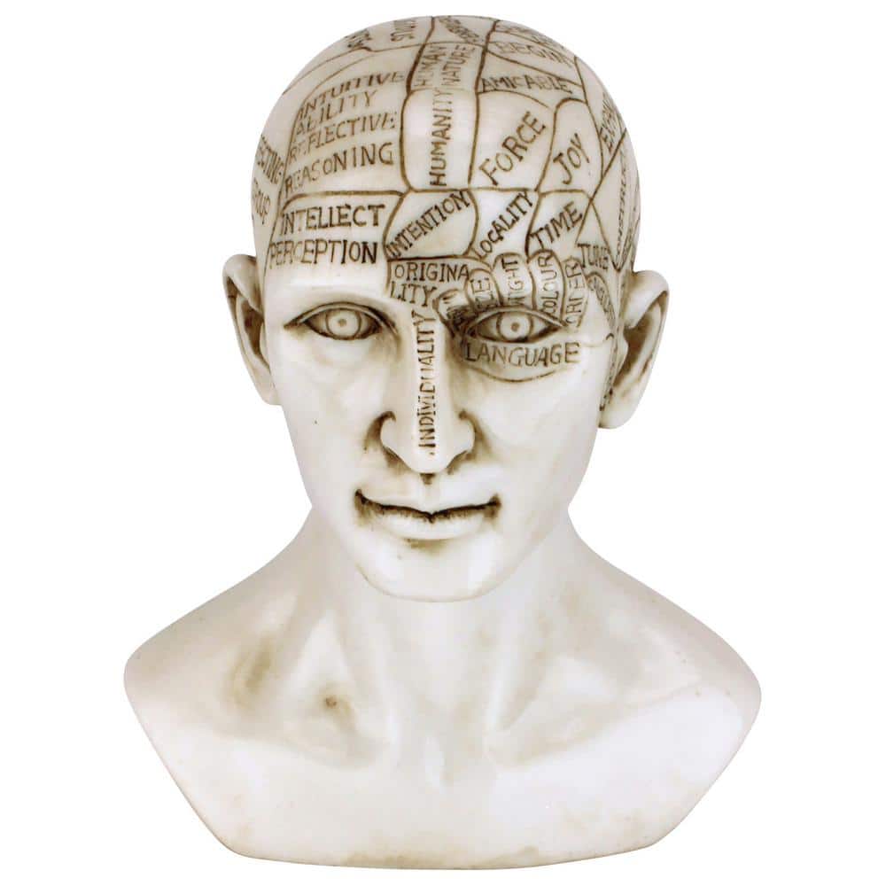 デザイントスカーノの磁器のPhrenology Head Fortune Telling デザイントスカーノの磁器のPhrenology Head Fortune Telling
