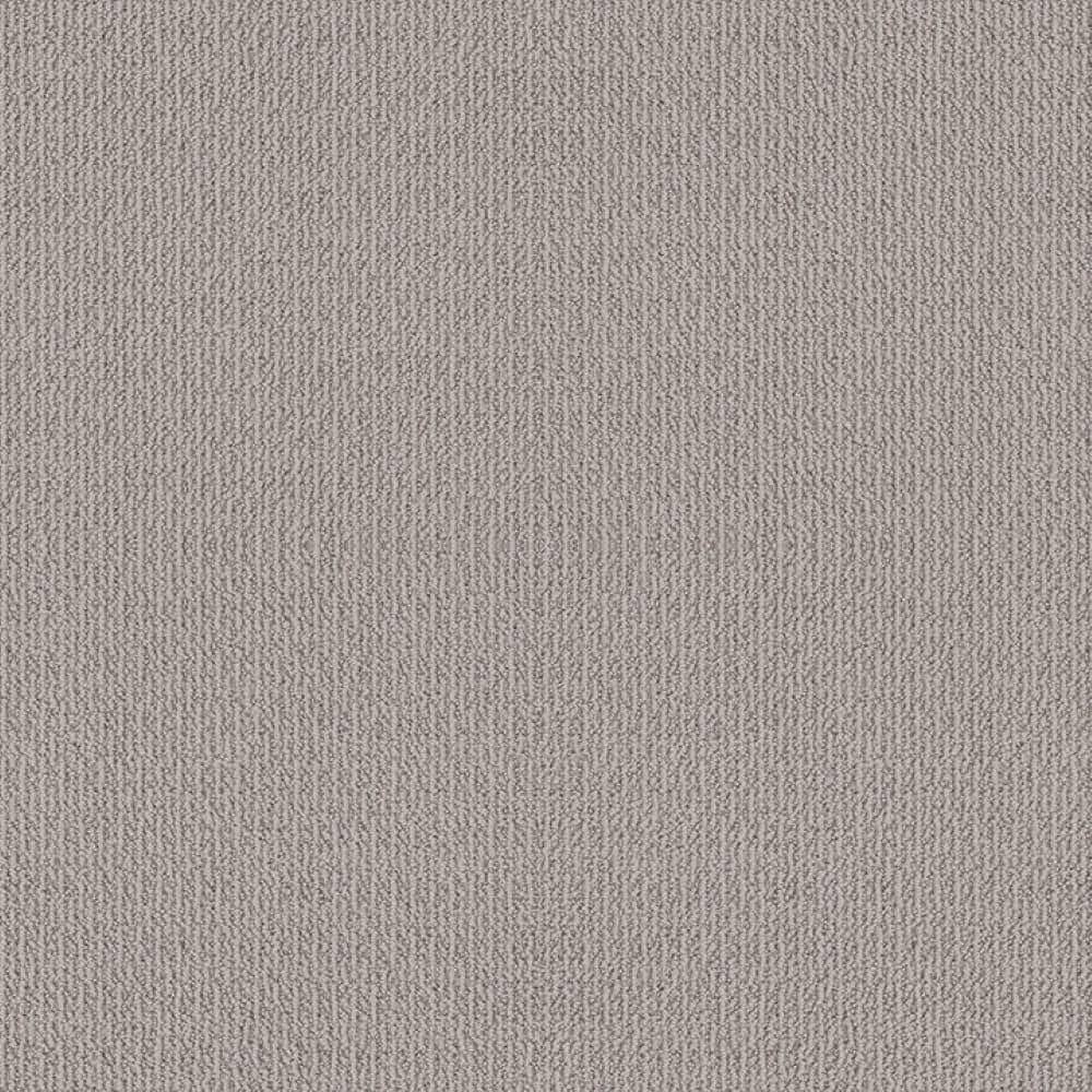 8 in. x 8 in. Loop Carpet Sample - Fresco Flow - Color Iron Frost price history on PriceWatchPro