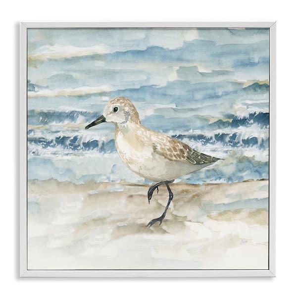 Balancing Sandpiper on Shore by Nan White Framed Animal Giclee Art Print 12 in. x 12 in.