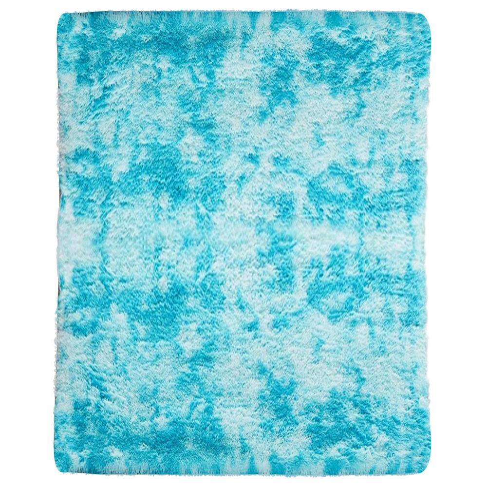 4X5.3 Ft Machine Washable Rugs Shaggy Soft Area Rug for Living