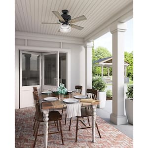 Cedar Key 44 in. Indoor/Outdoor Matte Black Ceiling Fan with Light Kit and Handheld Remote Control