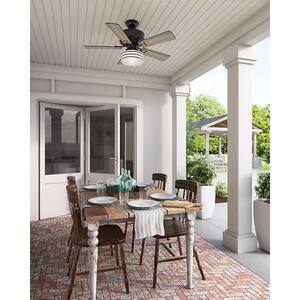 Cedar Key 44 in. Indoor/Outdoor Matte Black Ceiling Fan with Light Kit and Handheld Remote Control
