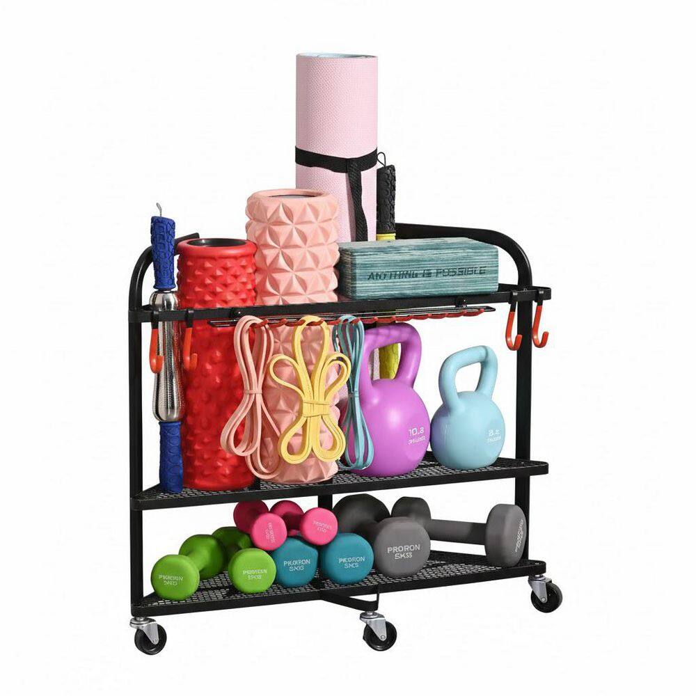 Heavy-Duty Dumbbell and Yoga Mat Storage Rack for Home Gym price history on PriceWatchPro