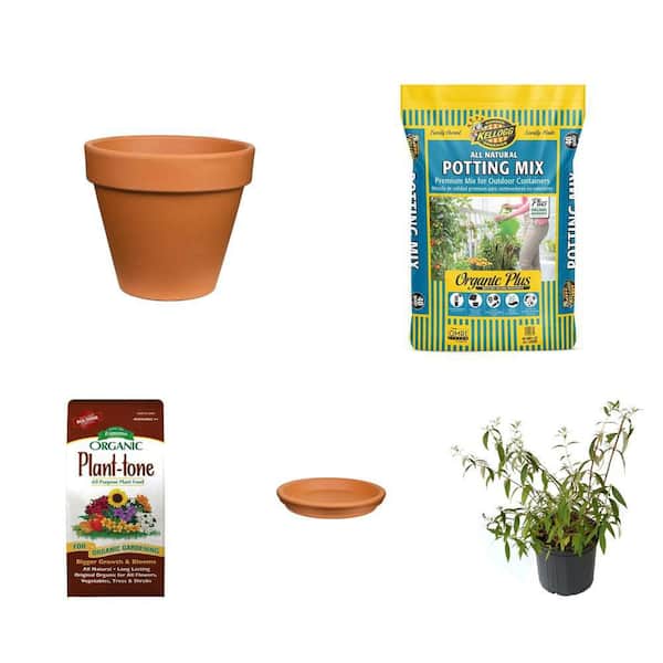 17 in. Terra Cotta Pot, 16 in. Clay Saucer, 40 qt. Potting Mix, Plant Tone 8 lb. and 3 gal. Buddleia Shrub Combo
