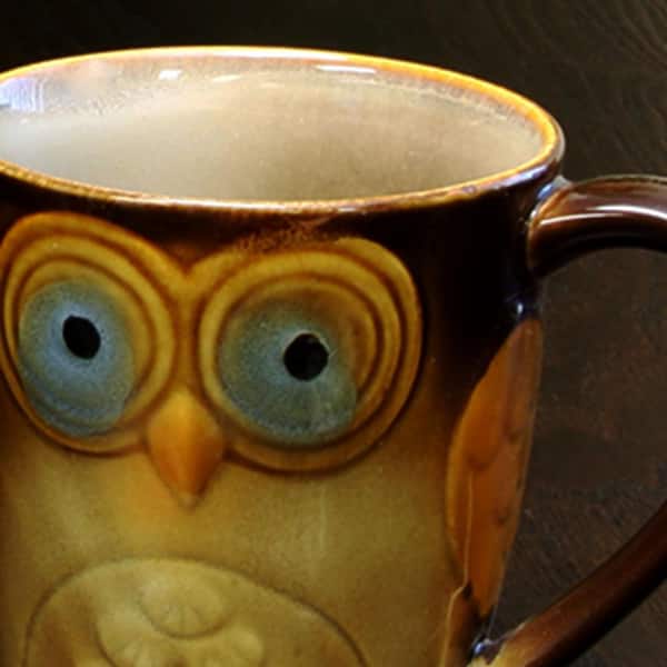 Owl Double Sided Coffee Mug - 904 Custom