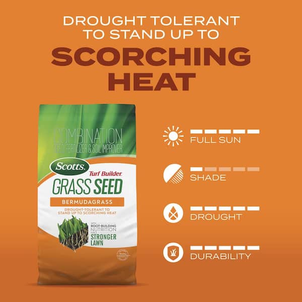 Scotts Turf Builder Bermuda Grass Full Sun Grass Seed 1 lb