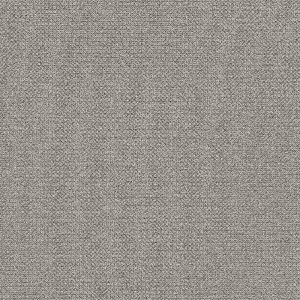 8 in. x  8 in. Loop Carpet Sample - Thornbrook -Color April price history on PriceWatchPro