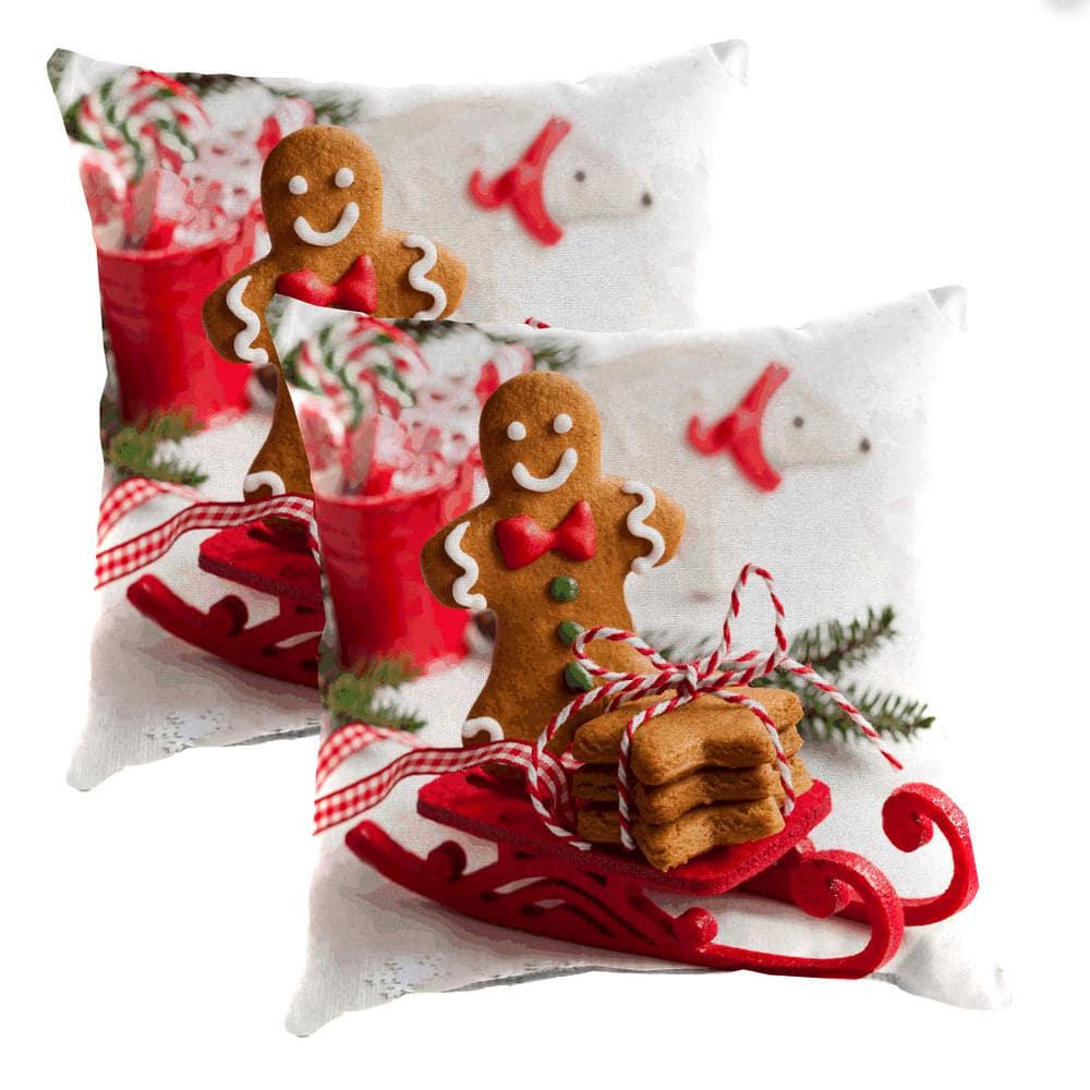 16 in. L x 16 in. W x 4 in. T Square Outdoor Throw Pillow in Gingerbread Sled (2-Pack) price history on PriceWatchPro