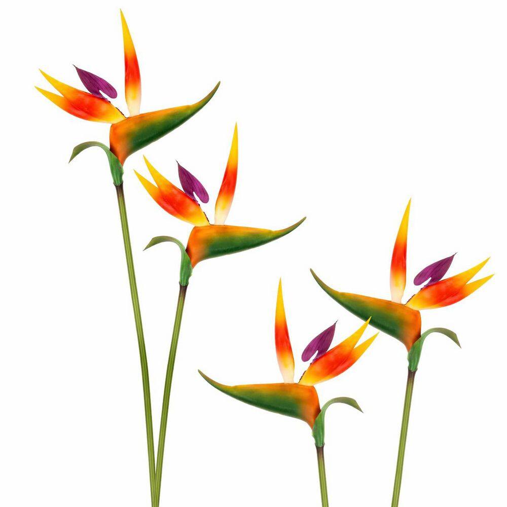 花鸟49 Afoxsos 1 in Artificial Bird of Paradise Plant Orange Green Indoor