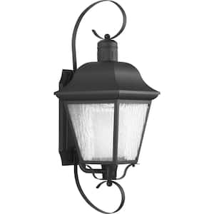 Andover Collection 1-Light Textured Black Clear Water Seeded Glass Farmhouse Outdoor Large Wall Lantern Light