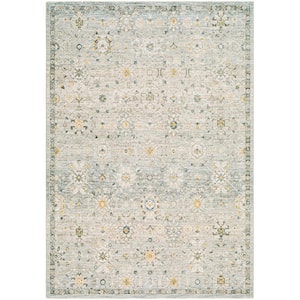 Rosamond Gray/Blue Oriental 5 ft. x 7 ft. Indoor Area Rug