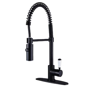 Paris Single-Handle Pull-Down Sprayer Kitchen Faucet in Matte Black