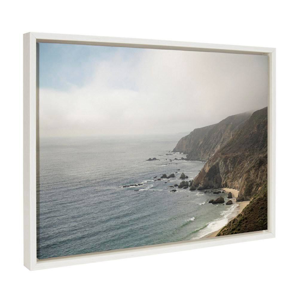 "Sylvie ""Wild Coast No 2 in. by Crystal Lynn Collins White Framed Art Print 24 in. x 18 in." price history on PriceWatchPro