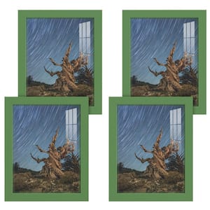 Modern 8 in. x 10 in. Green Picture Frame (Set of 4)