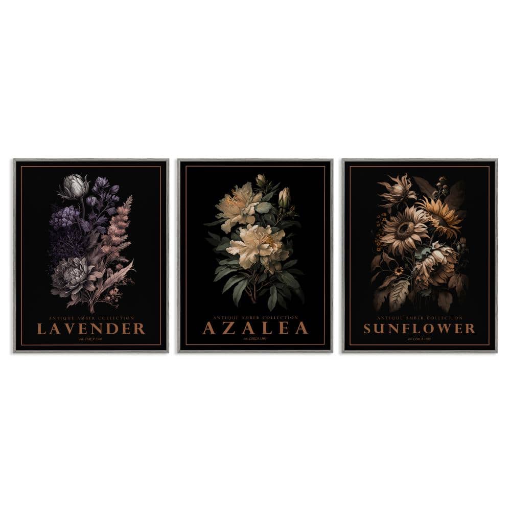 Antique Botanical Herb Bushels 3 Piece Gray Framed Giclee Art Set, design by Christopher Giampietro price history on PriceWatchPro