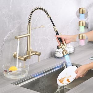 Double Handle Pull Down Sprayer Kitchen Faucet with High Pressure LED 8 in. Kitchen Sink Faucet in Brushed Golden