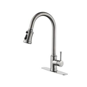 Single Handle Pull Down Sprayer Kitchen Faucet with Spot Resistant, Pull Out Spray Wand in Brushed Nickel Stainless