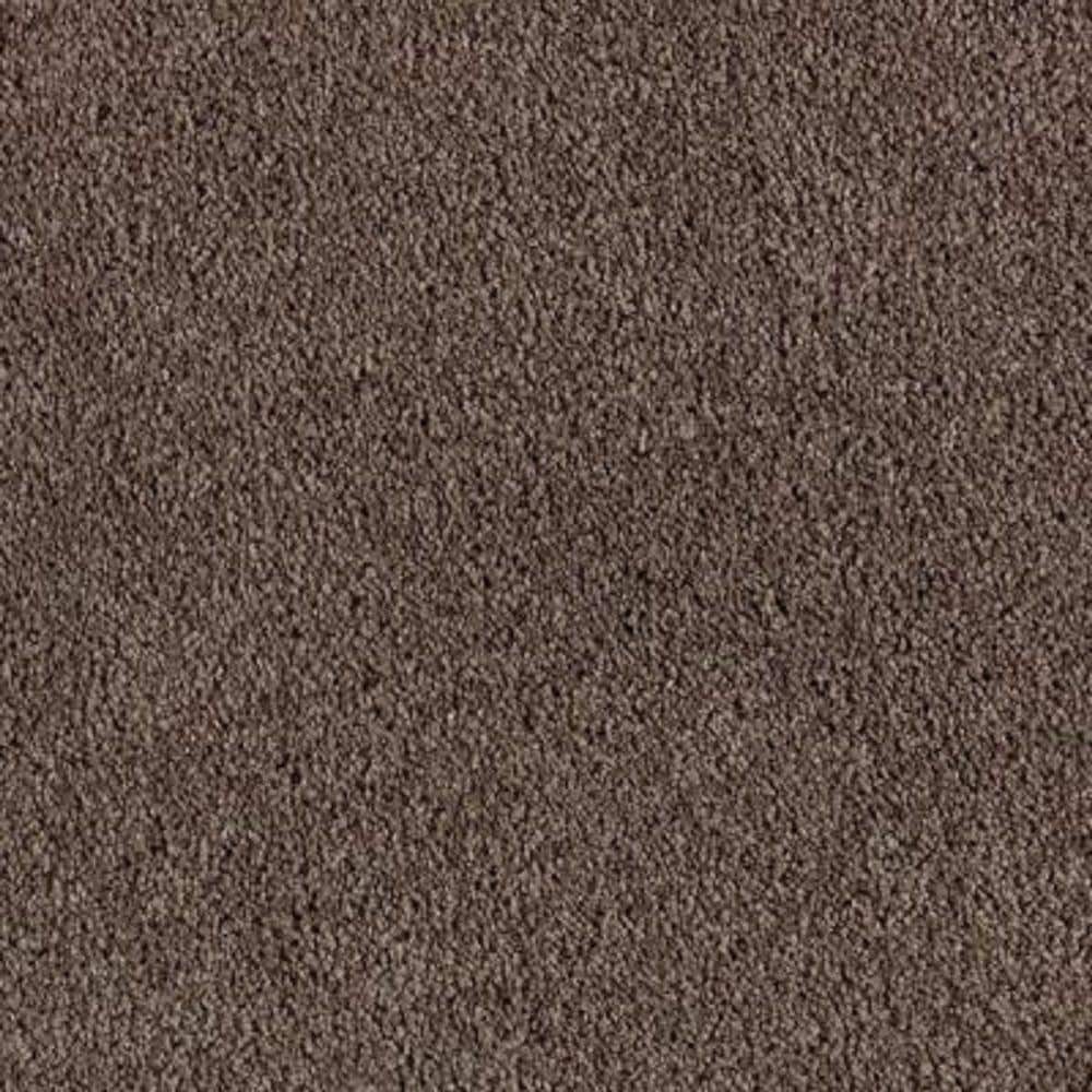 8 in. x 8 in. Texture Carpet Sample - Ambrosina II -Color Wilderness price history on PriceWatchPro