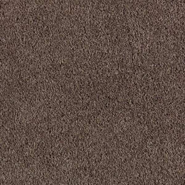 Lifeproof 8 in. x 8 in. Texture Carpet Sample - Ambrosina II -Color Wilderness