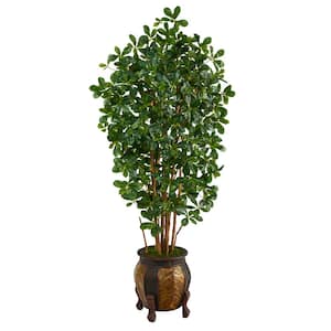 67in. Black Olive Artificial Tree with 1365 Bendable Leaves in Decorative Planter
