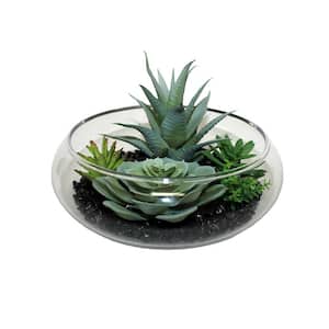 7 in. Artificial Dish Garden of Succulents on Black Stones in Glass Container