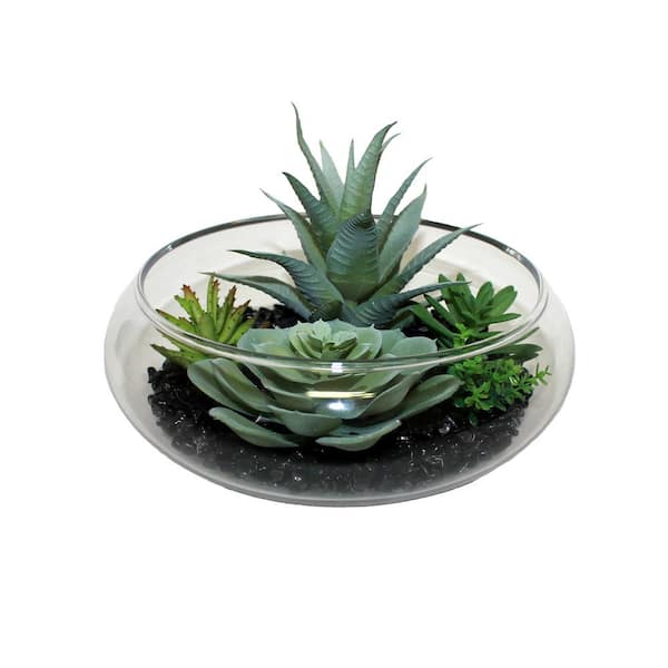 Worth Imports 7 in. Artificial Dish Garden of Succulents on Black Stones in Glass Container