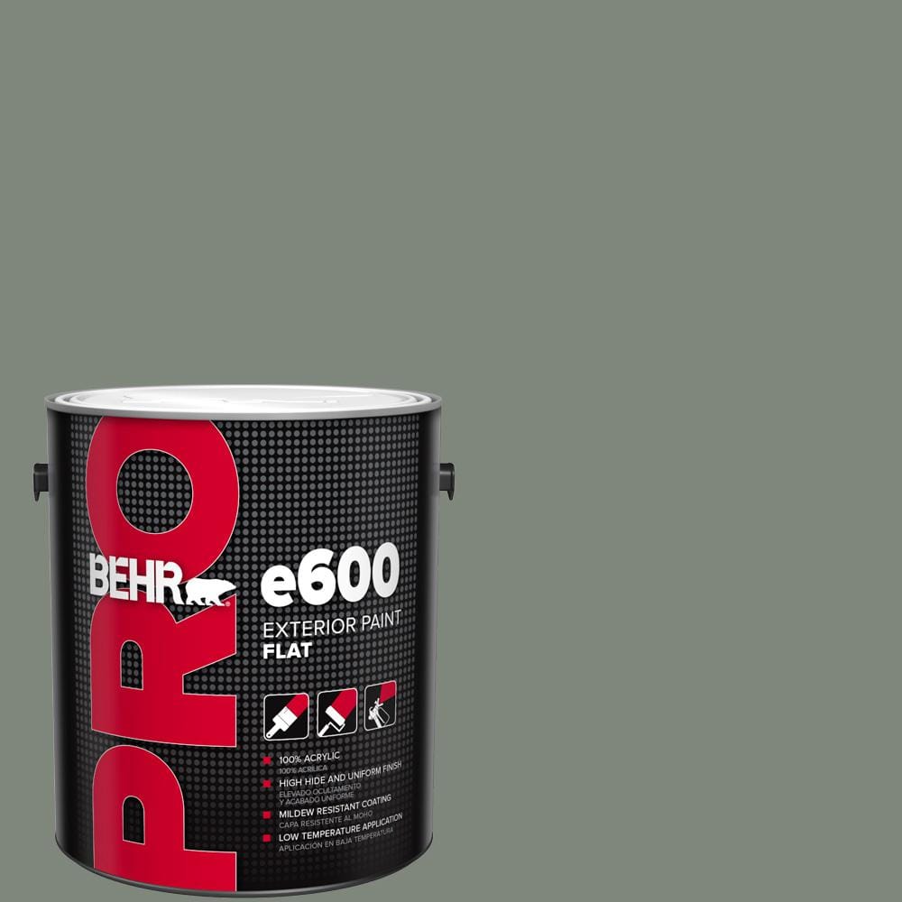 BEHR PRO 1 gal. #N410-5 Village Green Flat Exterior Paint PR61301 - The ...