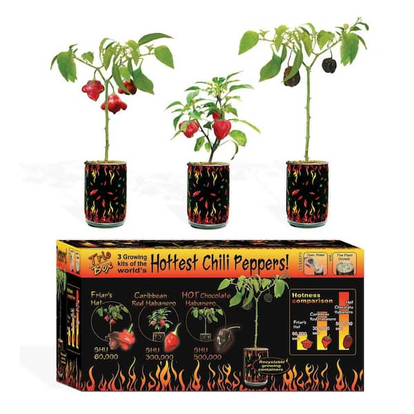 Heat Factory Magic Trio Box, Pepper Set 3