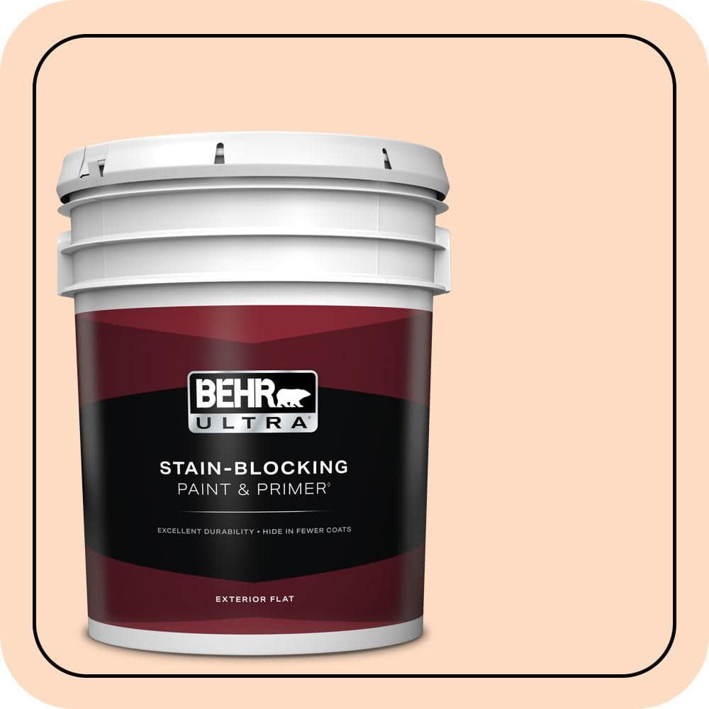 5 gal. #250A-3 Whispering Peach Flat Exterior Paint & Primer price history on PriceWatchPro