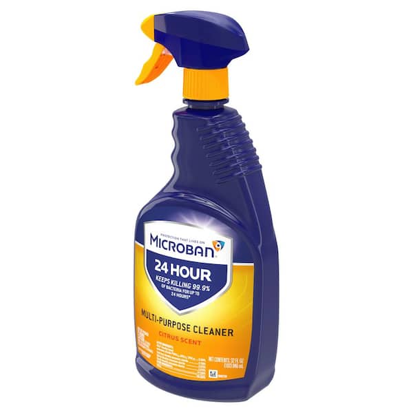Clorox Clean-Up 32 oz. Original Scent All-Purpose Cleaner with Bleach Spray  4460001204 - The Home Depot