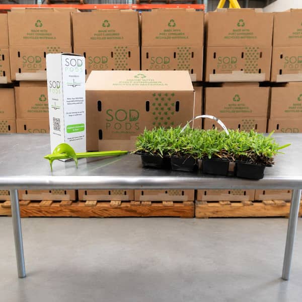 Sod Pods St Augustine Floratam Sod/Grass Plugs 16-Count/SP Power