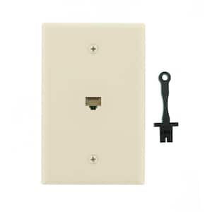 Almond 1-Gang Data Jack Wall Plate (1-Pack)