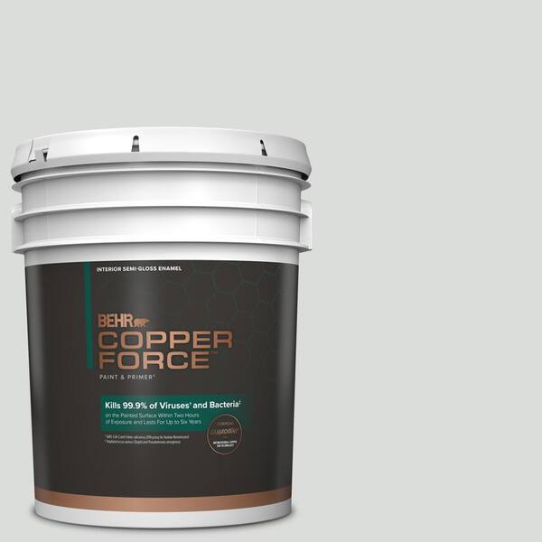 https://images.thdstatic.com/productImages/8a39f154-8cdf-4020-97a0-393d2a48dc43/svn/shiny-luster-copper-force-paint-colors-319005-64_600.jpg