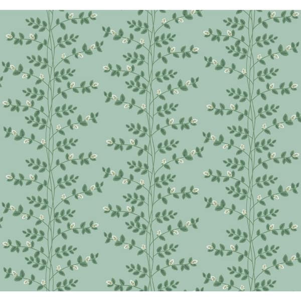 RIFLE PAPER CO. Climbing Vine Soft Teal Green Metallic Non-Pasted Wallpaper