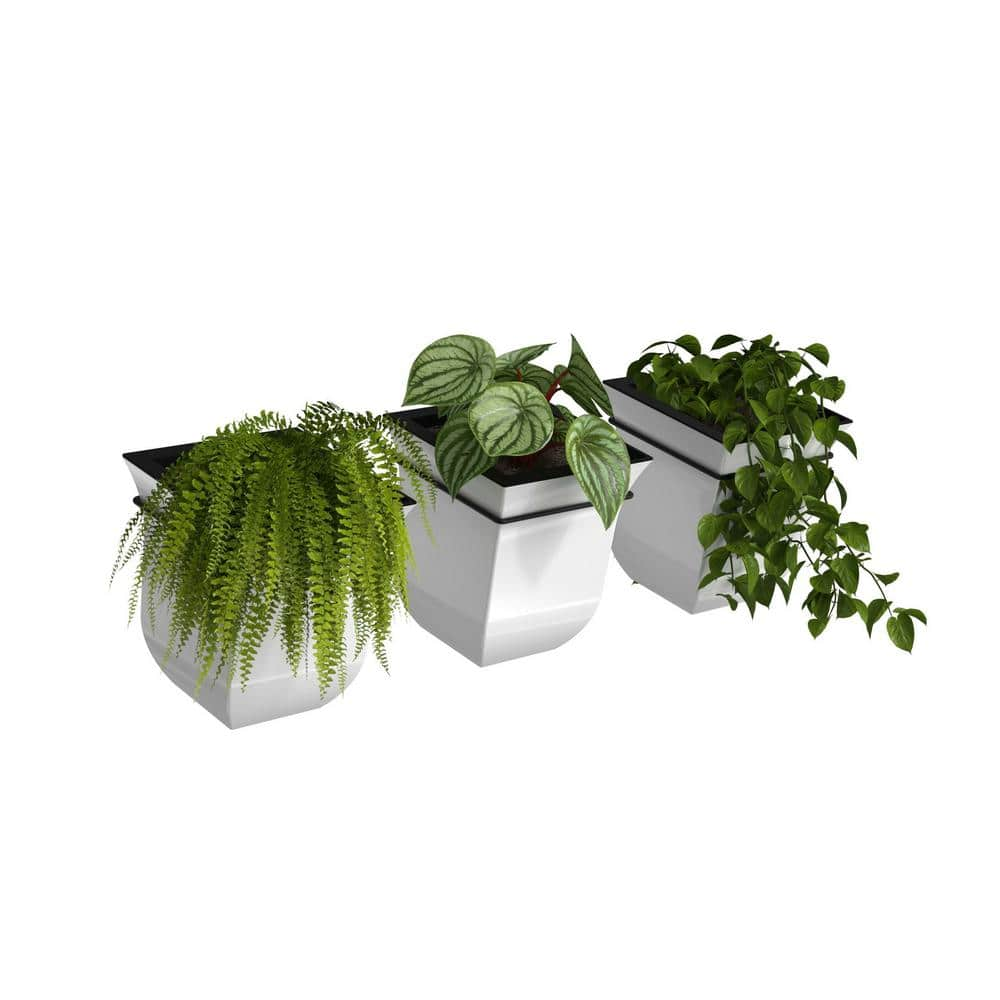 Valencia 8in Wall Mount Planter - 3-Pack White