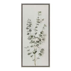 Eucalyptus Botanical I by The Creative Bunch Studio Framed Nature Canvas Wall Art Print 40.00 in. x 18.00 in.
