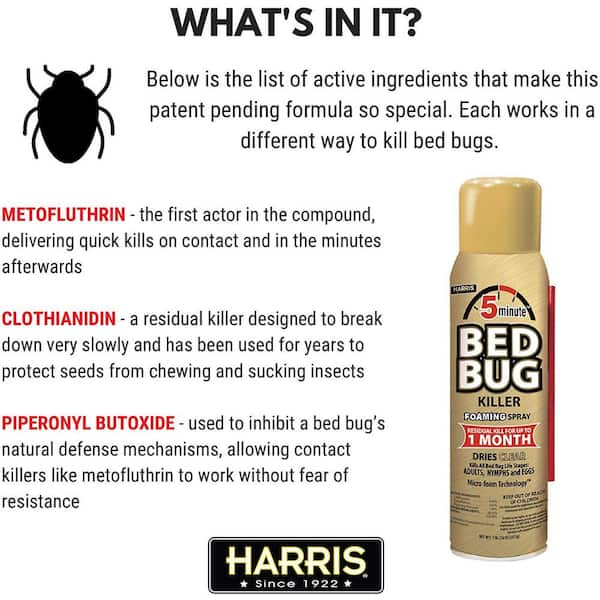 Harris Queen Bed Bug Mattress Cover And, Can Bed Bugs Chew Through Mattress Covers