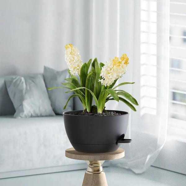 clamp on plant hanger Large Flourish Leather Plant Hanger