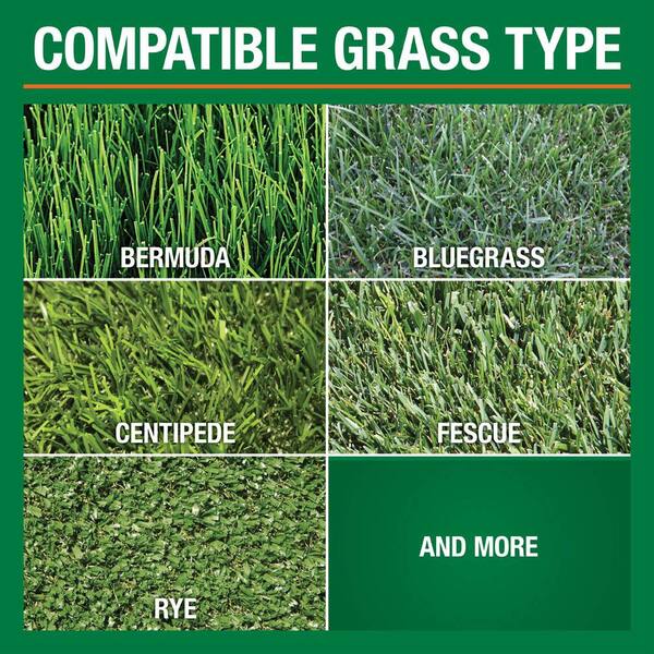 Vigoro 14.6 lbs. 5,000 sq. ft. Weed and Feed Weed Killer Plus ...