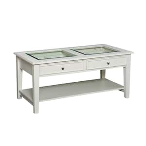 Pomander 22.25 in. White Rectangle Glass Coffee Table with Storage