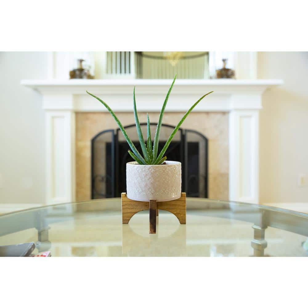Pink Ceramic Round Planter with Wood Stand, 6.25"
