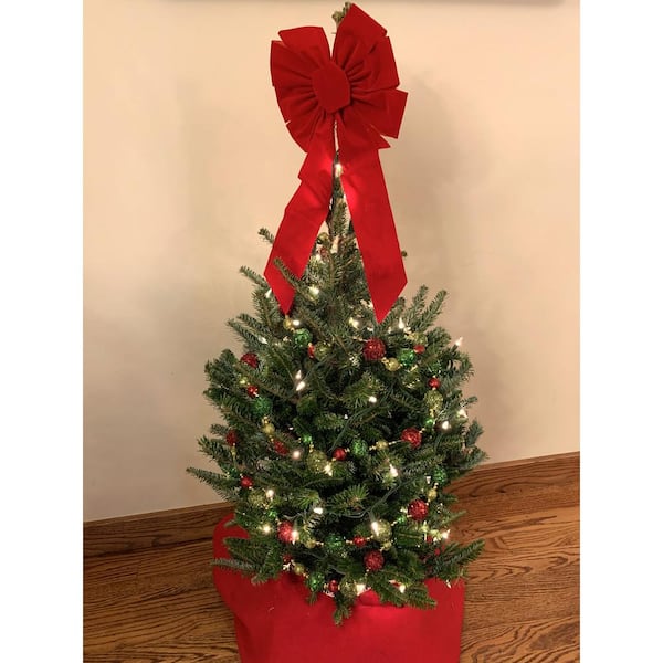 SEXTON CHRISTMAS/CONSIGN 2.5-3.5 ft. Freshly Cut Live Tabletop Fraser Fir Christmas Tree with Stand