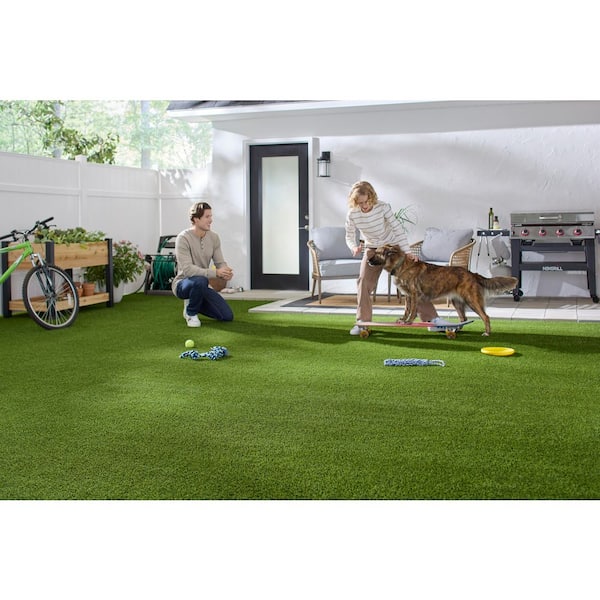 Lifeproof with Petproof Technology - Premium Pet Turf 12 ft. Wide x Cut to Length Green Artificial Grass Turf