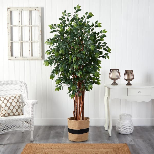 7 ft. Green Sakaki Artificial Tree in Handmade Natural Cotton Planter