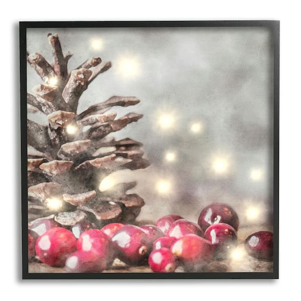 Stupell Industries Woodland Holiday Pinecone by LSR Design Studio 1-Piece Framed Graphic Print Animal Poster Art Print 12 in. x 12 in.