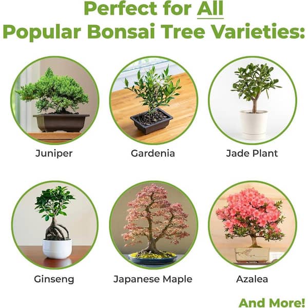 Bonsai Soil by Perfect Plants - 2qts. | Premium All-Purpose Mix Bonsai Tree Varieties