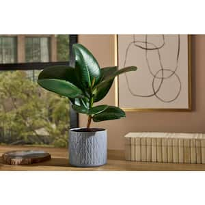 4.8 in. Malibu Small Blue Textured Ceramic Pot (4.8 in. D x 4.3 in. H)