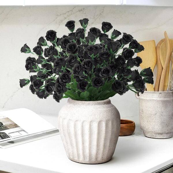 desert flowering plants Cactus Flowers of the Desert Seeds from Mr Fothergill's Seeds and Plants